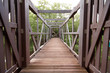 The wood bridge at the Mangrove forest, Thailand