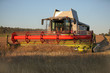 Landwirtschaft