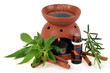 Photo: Diffuseur d'huiles essentielles Diffuseur d'huiles essentielles