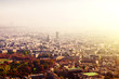 Paris aerial view from Montparnasse tower