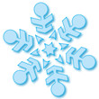 Eiskristall Schneeflocke