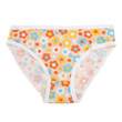 Colorful Cotton Panties isolated. Clipping paths included.