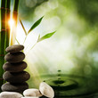 Oriental eco backgrounds with bamboo and water splash