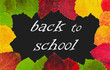 back to school