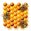 Vector: bees and honey bees and honey