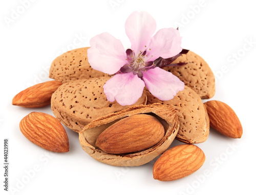 Photo: Almonds with leaves Almonds with leaves