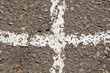 white Line on asphalt