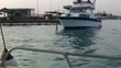 Video: jeddah marina and yachts jeddah marina and yachts