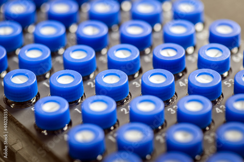 Photo: Mini test tubes in test container Mini test tubes in test container