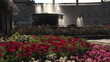 Video: Fountains in city square with double-decker bus Hull, UK Fountains in city square with double-decker bus Hull, UK