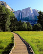 Road to Yosemite Falls