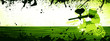 Paintball background