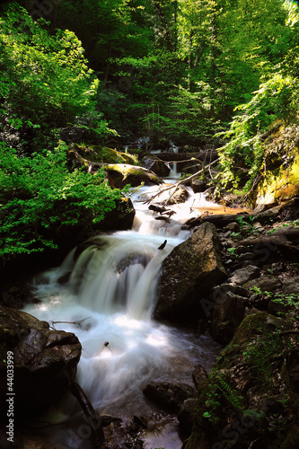 Photo: a stream in uludag , bursa, turkey a stream in uludag , bursa, turkey