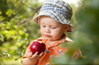 Foto: Little boy in panama with red apple Little boy in panama with red apple