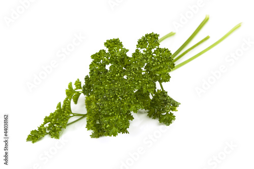 Foto: Parsley Isolated on White Parsley Isolated on White