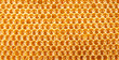 honeycomb full of honey closeup