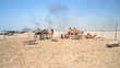 camels and Environment Pollution