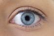 Oeil gauche - Femme