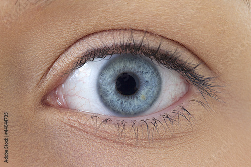 Photo: Oeil gauche - Femme Oeil gauche - Femme