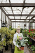Foto: Portrait of a happy gardener holding pot plant in greenhouse Portrait of a happy gardener holding pot plant in greenhouse