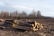 deforestation