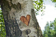 carved heart in tree