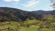 Schwarzwald im Sommer,HD Video