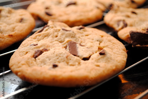 Photo: Cookies Cooling Cookies Cooling