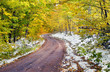 Photo: Bend in a Yellow Road Bend in a Yellow Road