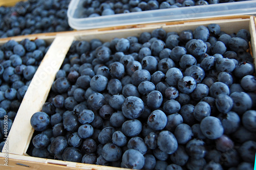 Photo: Blueberries closeup Blueberries closeup