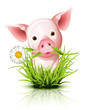 Vetor: Little pink pig in grass Little pink pig in grass