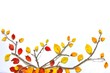 Photo: 紅葉のアート A 紅葉のアート A