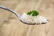 Rice on a Fork