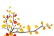 Photo: 紅葉のアート B 紅葉のアート B