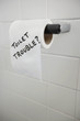 Close-up of text written on tissue paper in bathroom depicting toilet problems