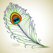 peacock feather