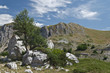 Foto: Terminillo Terminillo
