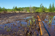 Nature pollution by oil products