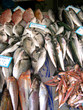 fish on sale in Rethymno Crete