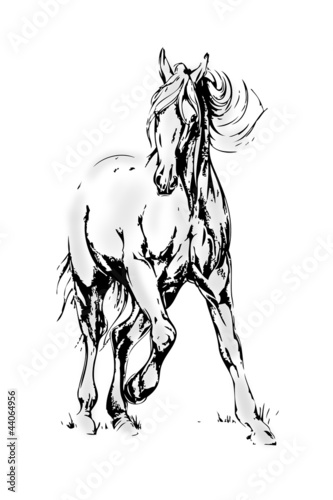 Illustration: Horse black white move light art Horse black white move light art