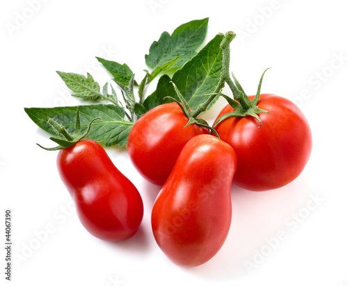 Photo: Reife Tomaten und Blätter auf weiß Reife Tomaten und Blätter auf weiß
