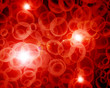 Red blood cells