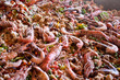 frutos do mar 05