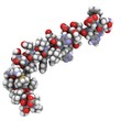 Alzheimer's disease amyloid beta peptide