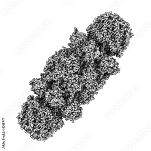 Illustration: yeast proteasome - chemical structure yeast proteasome - chemical structure