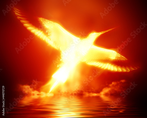 Illustration: phoenix phoenix