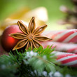 Weihnachtszeit, Sternanis