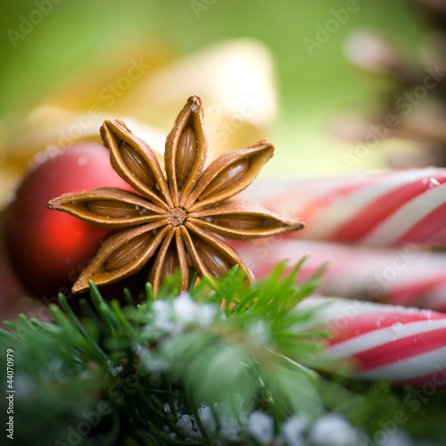 Photo: Weihnachtszeit, Sternanis Weihnachtszeit, Sternanis