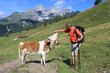 Foto: Sulzenalm 39 Sulzenalm 39