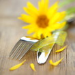 sommerliches Gedeck